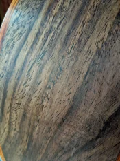rosewood pores filled close up.webp