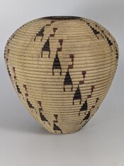 PXL_20260403_054327414.jpg