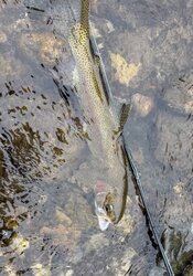 IMG_0751.jpeg