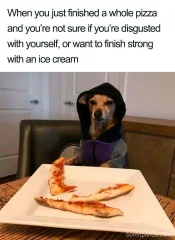 1776192429237.webp