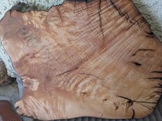 image000003 (13).jpg