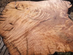 image000002 (15).jpg