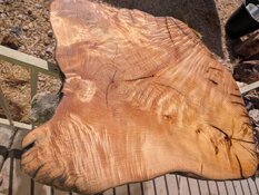 image000000 (38).jpg