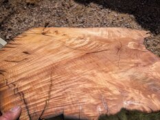 image000001 (17).jpg