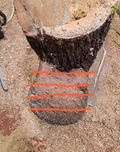 Screenshot_20260416_184337_Photo Editor.jpg