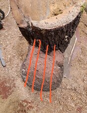 Screenshot_20260416_184245_Photo Editor.jpg