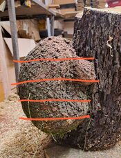 Screenshot_20260416_184212_Photo Editor.jpg