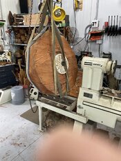 IMG_7129.jpeg