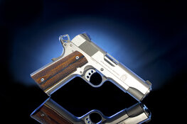 Brazilian Blackheart (Troy's) right.jpg