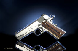 Brazillian Blackheart (Troy's) left.jpg