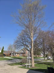 20260421_101803.webp