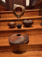 IMG_3556.jpeg