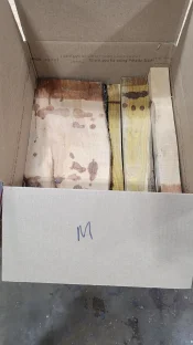 M1.webp