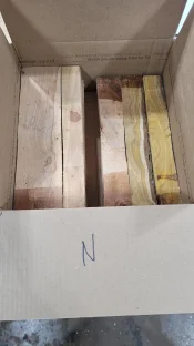 N1.webp