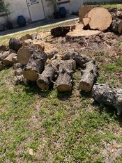 IMG_0278.JPG