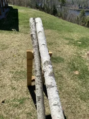 IMG_0461.jpeg