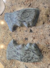 IMG_20260430_11639.jpg