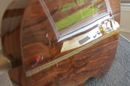 french polish back reflection final.jpg