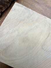 IMG_0488.jpeg