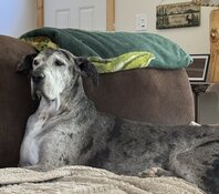 IMG_1003.jpeg