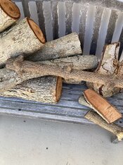 IMG_1935.JPG