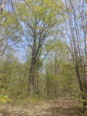IMG_20260518_140144757.jpg