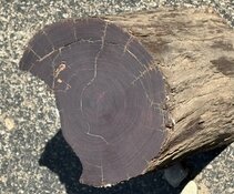 IMG_0920.jpeg