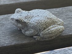 IMG_3888.jpeg