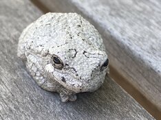 IMG_3891.jpeg