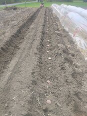 IMG_20260519_094618701.jpg