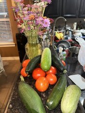 IMG_1169.jpeg