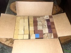 IMG_6916.jpeg