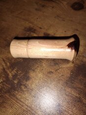 IMG_20260519_201337270.jpg