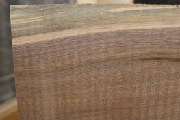 walnut 2.JPG