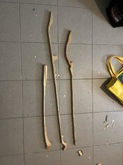 IMG_3626.jpeg