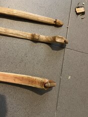 IMG_3628.jpeg