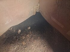 20260523_184254.jpg