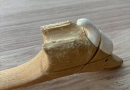 IMG_7071.jpeg