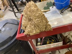 IMG_6033.jpeg