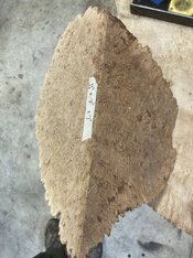 IMG_6029.jpeg