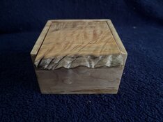 IMG_2982.jpeg