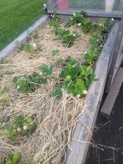 IMG_20260527_064156712.jpg