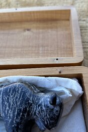 IMG_7103.jpeg
