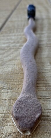 IMG_7106.jpeg