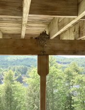 IMG_0542.jpeg