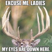 IMG_3823.jpeg