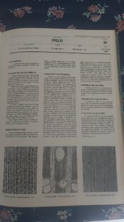 IMG-20260530-WA0045.jpeg