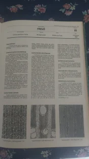 IMG-20260530-WA0045.jpeg