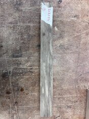 IMG_3016.jpeg