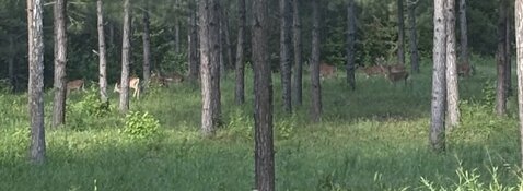 IMG_3150.jpeg